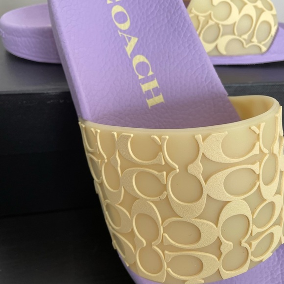 Coach Slides - Picture 3 of 5